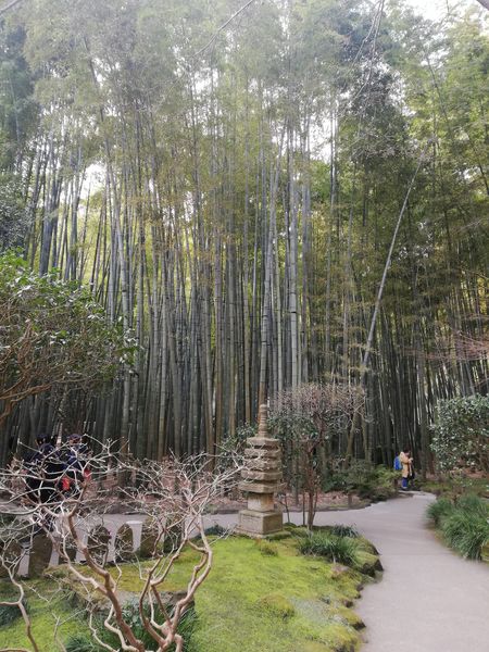 Kamakura i spotkanie z Emilem Truszkowskim